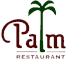 Palm logo